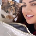 Özlem Balcı Instagram – Zarife’nin çantada ne var bakışı😜🧿🤍