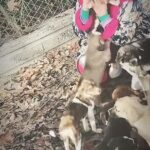 Özlem Balcı Instagram - Hayvanların hepsini insanların bazılarını seviyorum❤️