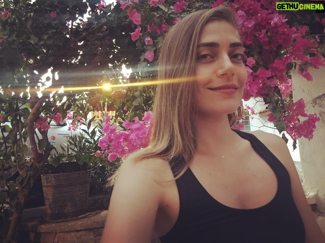 Öznur Serçeler Instagram - Gün batarken ardından tepelerin, fotoğrafımı çekesi geldi Yiğit Güvenin 🤩 @ygtguven 💞