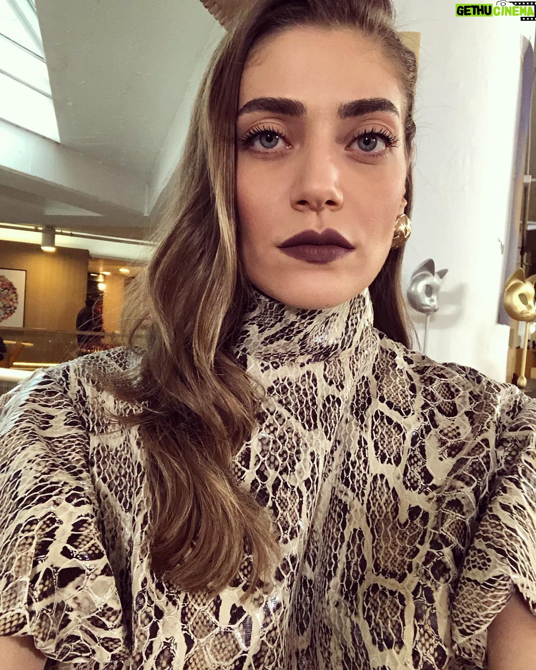 Öznur Serçeler Instagram - Kediler ve yılanlar