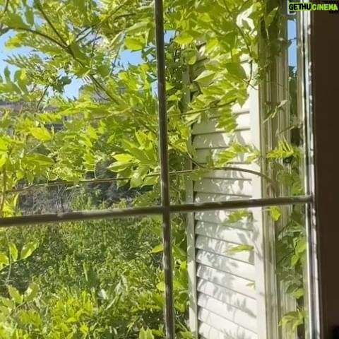 İclal Aydın Instagram - Merhaba mor salkımlı ev 🍃🌞 #izmir