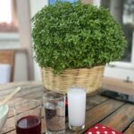 İclal Aydın Instagram - Hoşçakal Mavi Panjurlu Ev💙 Seni gördüğüm ilk an çok sevmiştim, biliyorsun. İkimizi çok benzetirdi insanlar anımsıyor musun? “Bu ev aynı sen, sen tıpkı bu evsin” derdi görenler… Ayvalık’ta hayatımın en mutlu ve mutsuz, en sevinçli ve üzgün, en başarılı ve yenik hissettiğim günlerinin ortağı oldun. Balkonun, terasın, pencerelerin, odaların şahane arkadaşlarımın sesleriyle, gülüşleriyle doldu. Üç Kız Kardeş’i hayal ederek yazdığım yerden el ettin bana. Kalbini, kapını açtın. Kısa zamanda çok şey yaşadık birlikte. Hayatımda bir devir daha bitti ve sen buna sessizce eşlik ettin... şimdi seni yeni konuklarına bırakıyorum. Onlara da bana verdiğin eşsiz sabahları, günleri, geceleri göstereceksin biliyorum. Sesini dinlet. Bizi anlat. Buradan şahane çocuklar geçti, ve onlar “bir devir muhteşemdiler” de… Ben seni hiç unutmayacağım. Sen de beni unutma. Evimden ayrılmak zor ama.. Daha da zoru bu veda sanırım.. Hoşçakal Ayvalık. Bana verdiğin, kattığın her şey için sana hep minnettarım… Gerçekten uğurlu bir yuva oldun…💙