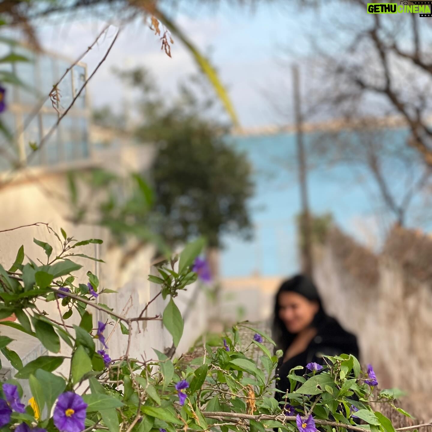 İclal Aydın Instagram - Günaydın💙 Anlatacak yeni bir hikayeye giden yolda daha çok dinliyor insan. Günü, geceyi; evin, sabahın, şehrin sesini… Anlattığım kadar dinleyemediğim, yazdığım kadar okuyamadığım, çektiğim kadar izleyemediğim zamanın acısını çıkarıyor gibiyim. Nerelerdesin diye soranlara “yeni versiyonumu yükleniyorum” diyorum. 😊 2023 yılında @storytel.tr müthiş eşlik etti bana. Bu gece rüyamda oradaki tek romanım Bir Cihan Kafes’i siliyorduk, yerine yenisini hazırlamaya karar veriyorduk. Rüyamda bile “yapılacaklar” listesi akıyor:) Geçen yıl çok beğenerek dinlediğim bir kaç romanı paylaşmak istiyorum sizinle. Kimileri daha önce okuduğum ama dinlerken adeta yeniden keşfettiğim eserlerdi. 🍃Mesela Tilbe Saran’ın sesinden Latife Tekin’in baş yapıtı Sevgili Arsız Ölüm 🍃Nermin Yıldırım’dan Ev 🍃(Kendi sesinden dinlemenin de apayrı bir keyif olduğunun altını çizeyim) Aylin Balboa’dan Bu Hikaye Senden Uzun Osman 🍃Şükran Yiğit’ten Ankara Mon Amour ve Radyo Şarampol 🍃Ahmet Hamdi Tanpınar’dan Mahur Beste Bir de gecikmiş buluşmalar oldu ve ben o kitaplara da bayıldım. 🍃Hikmet Hükümenoğlu’ndan Harika Bir Hayat 🍃Melisa Kesmez’den Küçük Yuvarlak Taşlar 🍃Mahir Ünsal Eriş’ten Bangır Bangır Ferdi Çalıyordu Dinlediklerimin bir kısmı bunlardı işte. Bir de yapıp ettiklerim, görüp düşündüklerim var ki onları da ara ara kısa mektuplarla anlatırım size. Okurunu özlemiş bir İclal’den mutlu bir yıl dileğiyle… 🌻