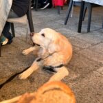 İlay Erkök Instagram – rσmєσnαlím ❤️