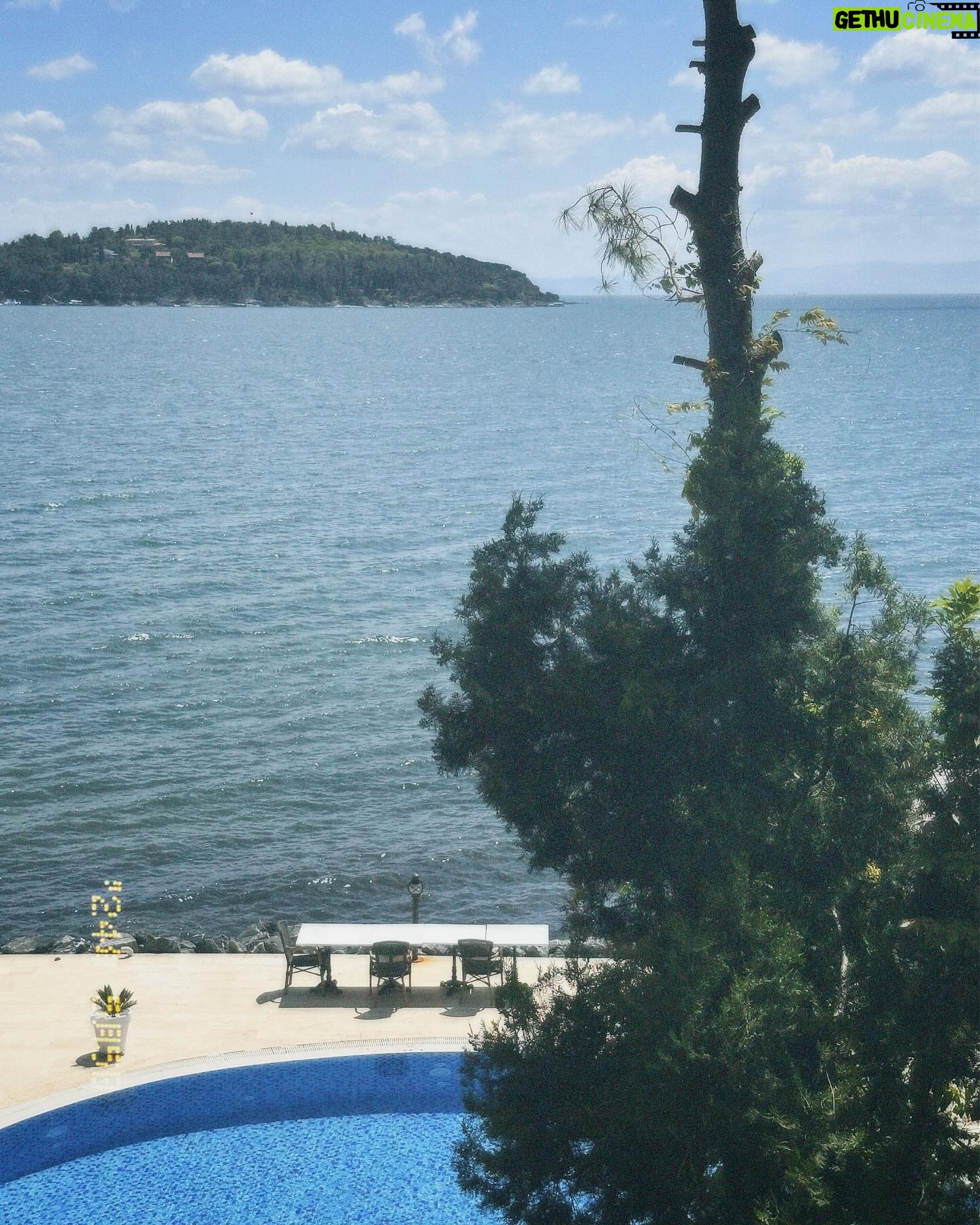 İlay Erkök - 21.1K Likes - Büyükada #dump 👸🏼
1. Fotoğraf : Tülay teyzeme ve Metin amcama sürpriz ziyaret ♥️ @kazancitulay Bir dahakine hep birlikte 🥰 @tmervekazanci @batuhankazanci
2. Fotoğraf : Tuesday kafasında bir Sunday yaşanıyordu.
3. Fotoğraf : Eski bir yetimhane. 1903-1964 yılları arasında hizmet veren yetimhane, Avrupa’nın en büyük, Dünyanın ise ikinci en büyük ahşap yapısı olarak kabul edilmektedir. (Biraz korkutucu ama içerisini merak etmemek mümkün değil.)
4. Fotoğraf : Spontane olan son dakika bulduğum ve son dakikaya kaldığım vapurla kadıköy seferimi merdivende bu tatlış amcayla oturarak seyahat ediyorumdur. 🥳
5. Fotoğraf : Sevda Gazozu ve @cihan.nacar manidar uyumu (!)
6. Fotoğraf : Eve girmeden kapısından başlayarak sanatlandığın bir ev.
7. Fotoğraf : Uzun bekleyiş..
8. Fotoğraf : Videoya bakınca Yunan sahil kıyıları sanabilirsiniz ama burası Eskibağ ve yılların dostluğu ♥️ @eskibagterasrestaurant
9. Fotoğraf : Tayland’da yakışıklı bir tuk tukçu ile keyif ve nefes kesen araç kullanımı(!) 🏝️
10. Fotoğraf : Beyefendinin scooter 🛴 ile bana show yapması ve neredeyse düşecek olmamız 😂
11. Fotoğraf : Tasarım denilince de Cihan Nacar 🎀
12. Fotoğraf : Çen bana hoşgeldin aperitifleri mi hazırladın 🍷🥹
13. Fotoğraf : Adanın melekleri
14. Fotoğraf : Cihan Verstappen 🏁🏎️
15. Fotoğraf : Gece yatarken bana bakan canım karabasan heykelim 🤍
(Dipnot: adayı çok uzun zaman sonra bambaşka hatırlayacağım sayenizde. Çok özel ve güzel bir gün geçirdim. Kocaman öpücükler 😘)