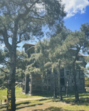 İlay Erkök Instagram - Büyükada #dump 👸🏼
1. Fotoğraf : Tülay teyzeme ve Metin amcama sürpriz ziyaret ♥️ @kazancitulay Bir dahakine hep birlikte 🥰 @tmervekazanci @batuhankazanci 
2. Fotoğraf : Tuesday kafasında bir Sunday yaşanıyordu. 
3. Fotoğraf : Eski bir yetimhane. 1903-1964 yılları arasında hizmet veren yetimhane, Avrupa’nın en büyük, Dünyanın ise ikinci en büyük ahşap yapısı olarak kabul edilmektedir. (Biraz korkutucu ama içerisini merak etmemek mümkün değil.)
4. Fotoğraf : Spontane olan son dakika bulduğum ve son dakikaya kaldığım vapurla kadıköy seferimi merdivende bu tatlış amcayla oturarak seyahat ediyorumdur. 🥳
5. Fotoğraf : Sevda Gazozu ve @cihan.nacar manidar uyumu (!) 
6. Fotoğraf : Eve girmeden kapısından başlayarak sanatlandığın bir ev. 
7. Fotoğraf : Uzun bekleyiş.. 
8. Fotoğraf : Videoya bakınca Yunan sahil kıyıları sanabilirsiniz ama burası Eskibağ ve yılların dostluğu ♥️ @eskibagterasrestaurant 
9. Fotoğraf : Tayland’da yakışıklı bir tuk tukçu ile keyif ve nefes kesen araç kullanımı(!) 🏝️ 
10. Fotoğraf : Beyefendinin scooter 🛴 ile bana show yapması ve neredeyse düşecek olmamız 😂
11. Fotoğraf : Tasarım denilince de Cihan Nacar 🎀
12. Fotoğraf : Çen bana hoşgeldin aperitifleri mi hazırladın 🍷🥹
13. Fotoğraf : Adanın melekleri 
14. Fotoğraf : Cihan Verstappen 🏁🏎️
15. Fotoğraf : Gece yatarken bana bakan canım karabasan heykelim 🤍 
(Dipnot: adayı çok uzun zaman sonra bambaşka hatırlayacağım sayenizde. Çok özel ve güzel bir gün geçirdim. Kocaman öpücükler 😘)