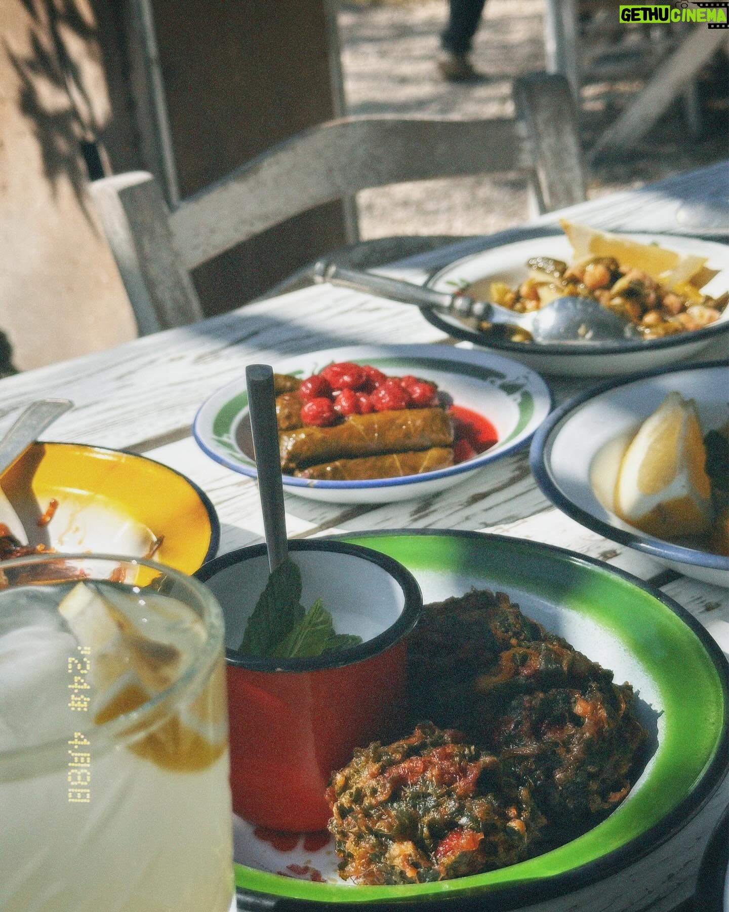 İlay Erkök - 3 Likes - 🌸
•
a stunning day in Urla #dumplings w/ M,A
•
🩷