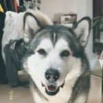 İlay Erkök Instagram - Milan🤍