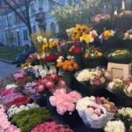 İlay Erkök Instagram – rσmєσnαlím ❤️