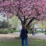 Şebnem Bozoklu Instagram - Berlin dump deyip geçmedim. Havasını değiştirmek isteyen buyursun ❤️ Birinci fotoğraf Berlin’de en kıymetlimiz, muazzam tiyatro @schaubuehne_berlin .Schaubühnenin uluslararası festivali için biletimi 2 ay önce almıştım. Amerikalı şahane grup @thewoostergroup u, inanılmaz oyunları “ a pink chair” ile izleme fırsatı buldum ki başım mutluluktan gezegenlere değdi. İkinci fotoğraf balkonumuzda @barbarosaltug ile bir akşamüstü… Üçüncü fotoğraf @yamyamberlin in vegan patlamış mısırlı dondurması ki aman aman 🌽. Dördüncü fotoğraf, en sevdiğimiz ,semtimiz Prenzlauer bergde sadece tiyatro kitapları satan şahane kitapçı @einarundbert ten kapılmış bir Shakespeare araştırması. Beşinci fotoğraf yine güzel Prenzlauer Berg imizin parklarından bir sakura ve bahar atağı 🌺 Altıncı sıradaki video Kreuzbergdeki plakçı gibi plakçı @lefterrecords da @kanat_atkaya cığımın taramalar ve taramalar süreci 🤘🏼 Yedinci sırada @altingunband ve şahanemiz @mervedasdemir in olay olay Berlin konseri Sekizinci sırada @thewoostergroup selamı ❤️‍🔥 Dokuzuncu fotoğraf bir mango lassi içmez miyiz güzellik? Ve son olarak dönüş uçağında baş üstü dolabımın aynasından yorgun&mutlu ben 💜 Herkesin ilgilendiği, sevdiği, onu mutlu eden şeylerle dolu seyahatler yapmasının sadece hayalini kurmadığı, kolayca gerçekleştirebildiği günlere o zaman 🥂