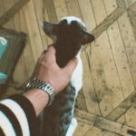 Cahid Huseynli Instagram - გამარჯობა