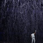 Cahid Huseynli Instagram - я не перестаю удивляться тому, как музыка способна объединять сердца и общается с каждым человеком на земном шаре - языком Жизни.. я счастлив общаться на этом языке с вами ❤️ обнимаю, благодарю и люблю