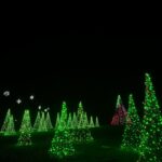 Cailey Fleming Instagram - christmas lights glisten