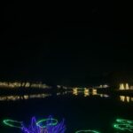 Cailey Fleming Instagram - christmas lights glisten