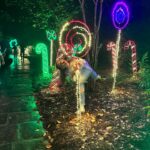 Cailey Fleming Instagram - christmas lights glisten