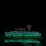 Cailey Fleming Instagram - christmas lights glisten