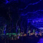 Cailey Fleming Instagram - christmas lights glisten