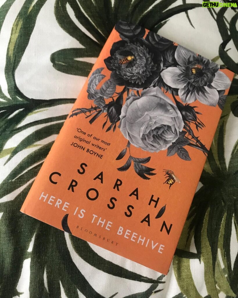 Caitríona Balfe Instagram - This book is as gorgeous as it’s cover ... loved every page. Congratulations on your book launch @sarahcrossanwriter #hereisthebehive