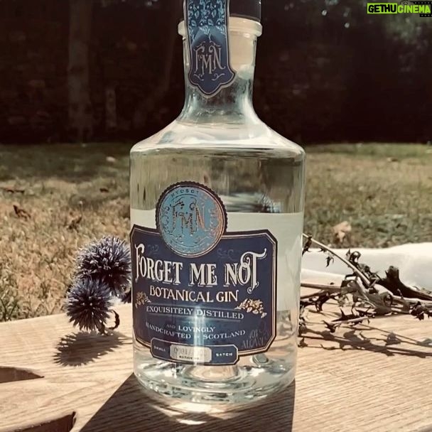 Caitríona Balfe Instagram - It’s time to pour yourself a generous gin... I am excited to announce our website is now live for anyone wanting to register their interest in our first batch of Forget Me Not Gin. See www.forgetmenot.com (link also in bio) This is a very special product that has combined my love of collaborating with friends, drinking (😱) and finding ways to support our beleaguered artistic community ... So I hope you enjoy and feel the love that has gone into Forget Me Not 💙 #ForgetMeNot #ScottishGin #supportthearts