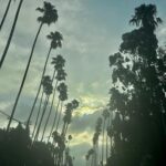 Caity Lotz Instagram - 🌱 Self-care is not selfish. Taking care of your physical and emotional health allows you to show up more fully for others. 🌼 What self care looks like to me: solo adventures, long baths, time in nature, crafting 🤓