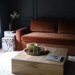 Caity Lotz Instagram – I’m so in love with this rust sleeper sectional from @interiordefine ! We got to customize the size, color, and cushions to get exactly what we needed for the room. We wanted a movie room/den, but also needed a place for guest so this sleeper sofa was the perfect solution. The coffee table is from @thehavenly and the leather chair also from @interiordefine #defineby @theinside  Promo code: CAITY20