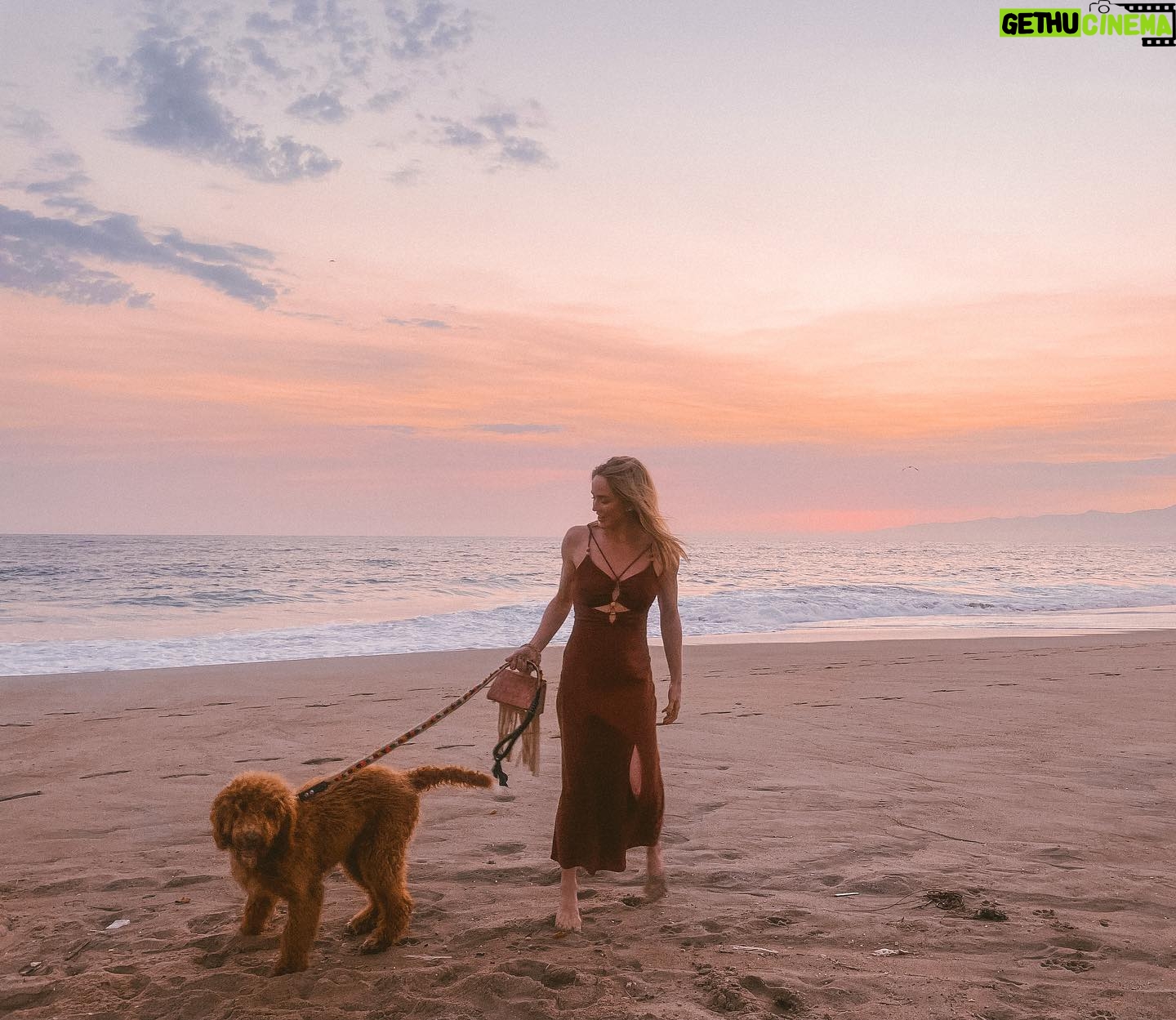 Caity Lotz Instagram - Feed your soul with the things you love…