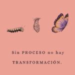 Calu Rivero Instagram - ¡Unite a quizás el evento más impactante del año, Conciencia de la Muerte! Este sábado 14 de octubre a las 18:30 en @monopol.lab Entrégate desde la escucha a una experiencia inolvidable mientras exploramos la muerte, las pérdidas y la vida con conciencia. A través de un diálogo apasionante con @wilka_roig (presidente de la Fundación de Dra. Elisabeth Kübler-Ross @ekrmexico ) te invito a reflexionar sobre la importancia de vivir plenamente y naturalizar nuestra propia mortalidad. Entrada gratuita/ link en bio para reservar tu lugar. Gracias!