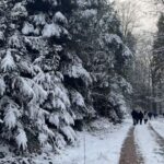 Camila Alves Instagram - It’s Sunday have you taken your walk… ? It was cold…but no excuses… looked like I dropped into a real Winter Wonderland doesn’t it? It was cold!! 💚💛💚💛💚💛💚💛💚💛💚💛💚💛💚💛💚💛 É Domingo, fez sua caminhada hoje?.. estava muito frio mais vamos lá! Parece uma paisagem de filme de Natal não é? #winterwonderland #cold #walk
