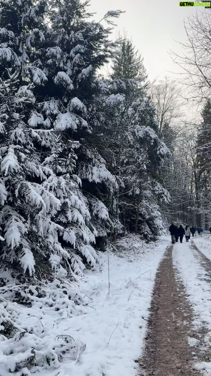 Camila Alves Instagram - It’s Sunday have you taken your walk… ? It was cold…but no excuses… looked like I dropped into a real Winter Wonderland doesn’t it? It was cold!! 💚💛💚💛💚💛💚💛💚💛💚💛💚💛💚💛💚💛 É Domingo, fez sua caminhada hoje?.. estava muito frio mais vamos lá! Parece uma paisagem de filme de Natal não é? #winterwonderland #cold #walk
