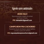 Camila Queiroz Instagram - Diante da situação de calamidade em que se encontra o Rio Grande do Sul, todos nós devemos nos mobilizar e ajudar de alguma maneira! Seja com alguma quantia financeira, com itens, com o tempo de voluntariado ou compartilhando informações verídicas e instituições verdadeiramente engajadas na causa. Por isso, separemos algumas organizações que estão empenhadas em ajudar o Sul em diversos âmbitos: com apoio às famílias locais, com resgate e cuidado de animais que ficaram ilhados, com suporte às populações indígenas e com auxílio para que as famílias encontrem crianças desaparecidas. Compartilhem para que cheguem a mais pessoas e ajudem da forma que puderem! Nesse momento, qualquer ajuda conta muito: ❤️‍🩹🙏🏻 #SOSRioGrandeDoSul