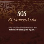 Camila Queiroz Instagram - Diante da situação de calamidade em que se encontra o Rio Grande do Sul, todos nós devemos nos mobilizar e ajudar de alguma maneira! Seja com alguma quantia financeira, com itens, com o tempo de voluntariado ou compartilhando informações verídicas e instituições verdadeiramente engajadas na causa. Por isso, separemos algumas organizações que estão empenhadas em ajudar o Sul em diversos âmbitos: com apoio às famílias locais, com resgate e cuidado de animais que ficaram ilhados, com suporte às populações indígenas e com auxílio para que as famílias encontrem crianças desaparecidas. Compartilhem para que cheguem a mais pessoas e ajudem da forma que puderem! Nesse momento, qualquer ajuda conta muito: ❤️‍🩹🙏🏻 #SOSRioGrandeDoSul