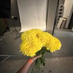 Candela Vetrano Instagram - 🤎💛💕💕💛💙❤️❤️🩵🩵 se vienen cozitazzz que me tienen de lo más EMOCIONADA 💛🧡❤️🩷🩷💜💜💙🩵🤎🤎🤍❤️🧡💛💛💛💛💜💙💙❤️💙💙🩷🩷🩵 soy el último video