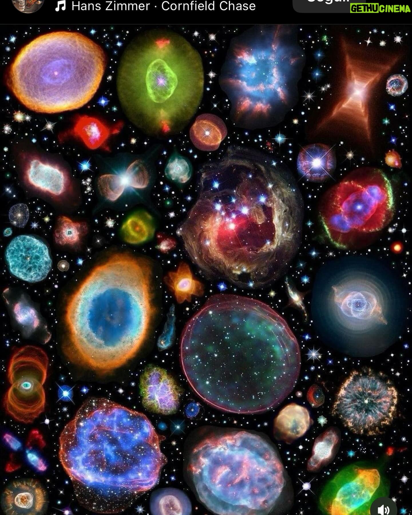 Candela Vetrano Instagram - Con la mejor compra que hice. Mis cuñadas bombas y dulces. Mi abuela Mavita siendo Mavita. Una tarde volviendo de Paraiso Fiscal. Un atardecer desde el baño. Mi disfraz de chica naranja. Galaxias. Palmito durmiendo la siesta.