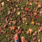 Candela Vetrano Instagram - paisajes del 23 💞