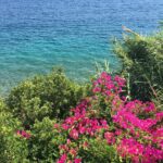 Cansu Dere Instagram - #nature #love 🌺🌸#summer #turkey 💙