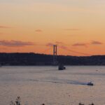 Cansu Dere Instagram -