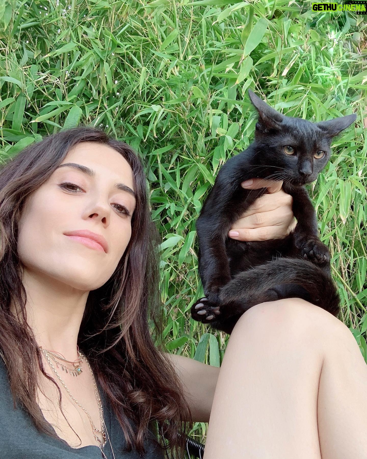 Cansu Dere - 186.4K Likes - 💚