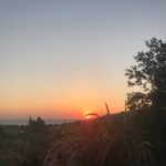 Cansu Dere Instagram -