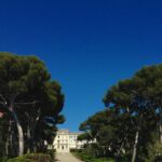 Cansu Dere Instagram -