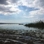 Cansu Dere Instagram -