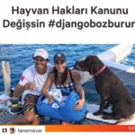 Cansu Dere Instagram - #Repost @tanemsivar ・・・ Hepinize sonsuz sevginiz ve desteginiz icin cok tesekkür ediyoruz. Django ve Pamuk u müthis özlüyoruz. Bu acı kalbimizinde derin bir yara acti / bu yara asla gecmeyecek ve izlerini daima tasiyacagiz. Tüm öfkemizi ve bu acinin verdigi tarifsiz kötü enerjiyi iyilige cevirmek su an elimizden gelen tek sey ... Sağolun iyi ki varsınız ve dilerim bir daha kimse bu ve buna benzer olaylar yaşamasın, yaşatılamasın. #djangobozburun ( link profilde)