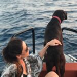 Cansu Dere Instagram - Arkadaşlarımız Pamuk ve Django evlerinin bahçesinde zehirlenerek öldürüldüler. Hayvanlar canımızdır, malımız değil. Hayvan hakları kanunu değişsin. Change.org/djangobozburun #djangobozburun