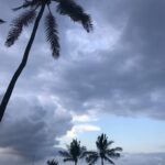 Cansu Dere Instagram -