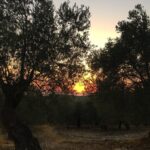 Cansu Dere Instagram -