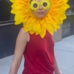 Cara Buono Instagram – Last day of camp bus pick up. What could go wrong? Also, is throw back Thursday still a thing? I had more costumes. 

#tbt #throwback #nyc #instagood #camp #summercamp #summer #sun #sunflower #sunglasses #fun #momlife #momfail #mygirl