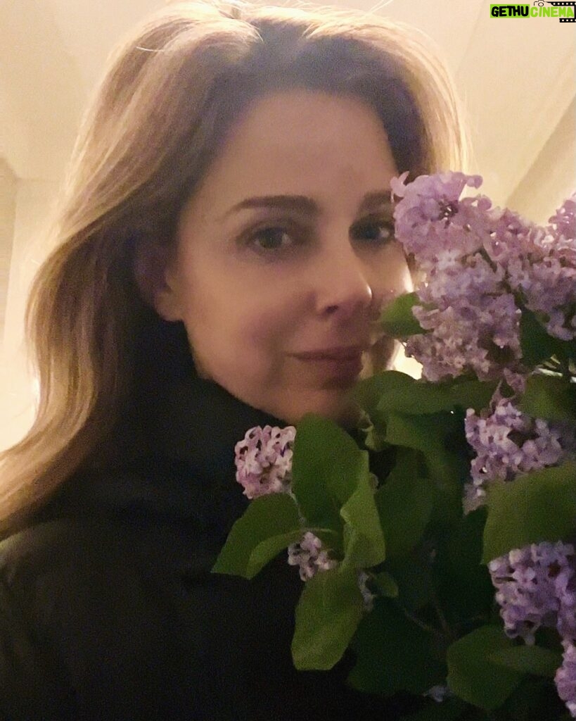 Cara Buono Instagram - Spring. Still chilly. #lilac #lilacseason #spring #nyc #sunday
