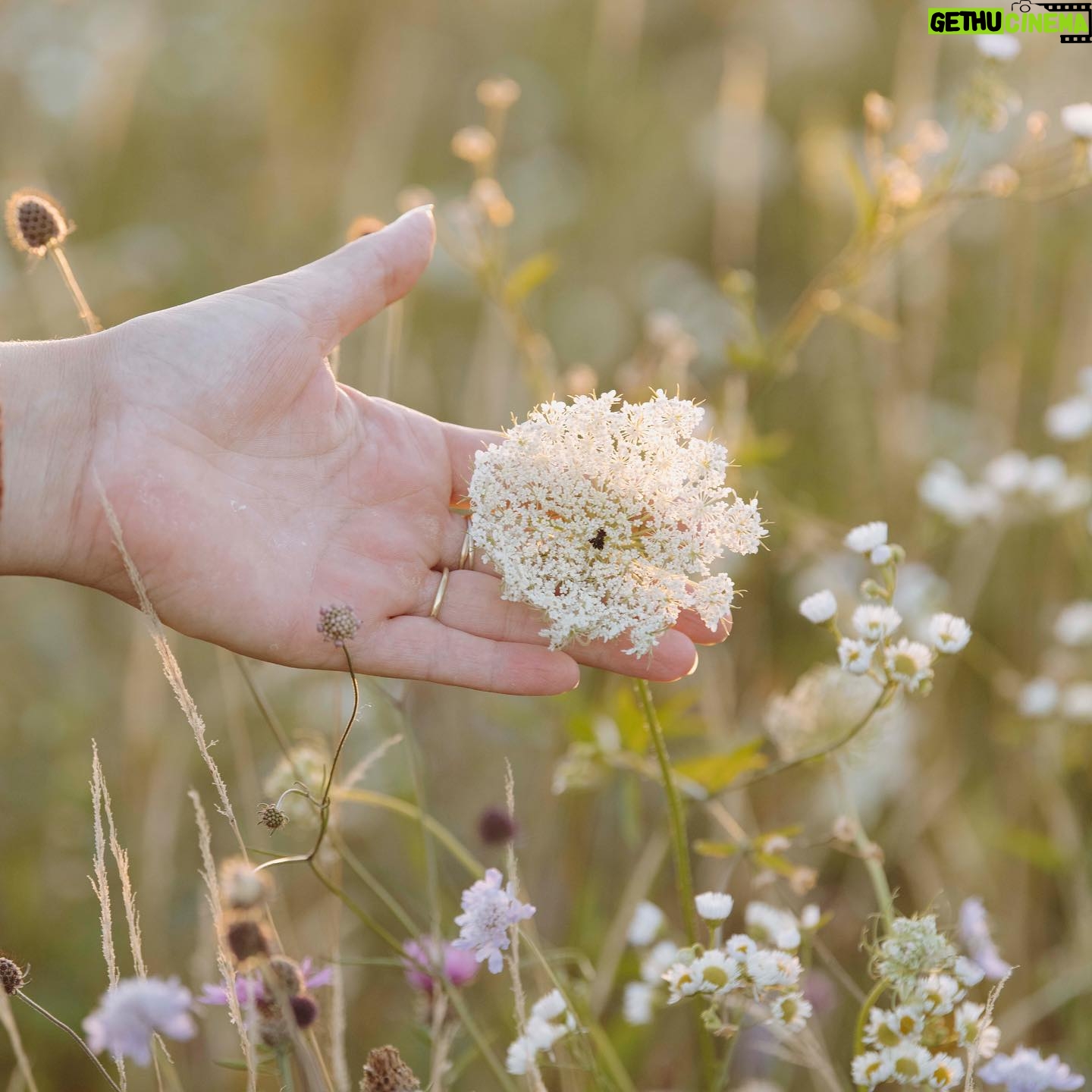 Carice van Houten Instagram - Zaai mee voor de natuur 🐝❤️ Het is inheemse zaaiweek! Hét moment om inheemse bloemen te zaaien is nu, in het najaar. Die zijn niet alleen prachtig, maar helpen insecten, vlinders en bijen enorm, want die zijn er vaak afhankelijk van. Het zijn planten die hier van nature komen. We zaaien met zoveel mogelijk mensen in zoveel mogelijk tuinen, op balkons en daken. Het is supersimpel. Doe je ook mee? Meer informatie vind je op www.inheemsezaaiweek.nl De inheemse zaaiweek is een non-profit initiatief van @gardenersworldnl de @bijenstichting en kweker van onbehandelde, gifvrije, inheemse zaden @cruydthoeck 📸 @liesbethdisbergen #duurzaamtuinieren #reddebij #hartvoorinheems #biologischtuinieren #tuintip