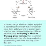 Carice van Houten Instagram - This might help to get your head around the climate crisis. @somewhatgreener