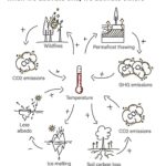Carice van Houten Instagram – This might help to get your head around the climate crisis. @somewhatgreener