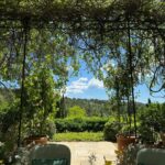 Carina Lau Instagram - Garden lunch #garden #lunch #romantic #weekend